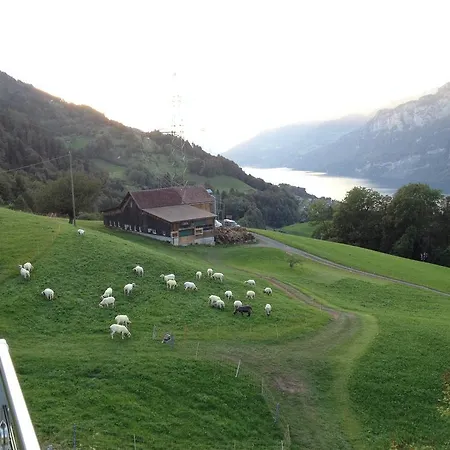 Bijouswiss Appartement Oberterzen Buitenkant foto
